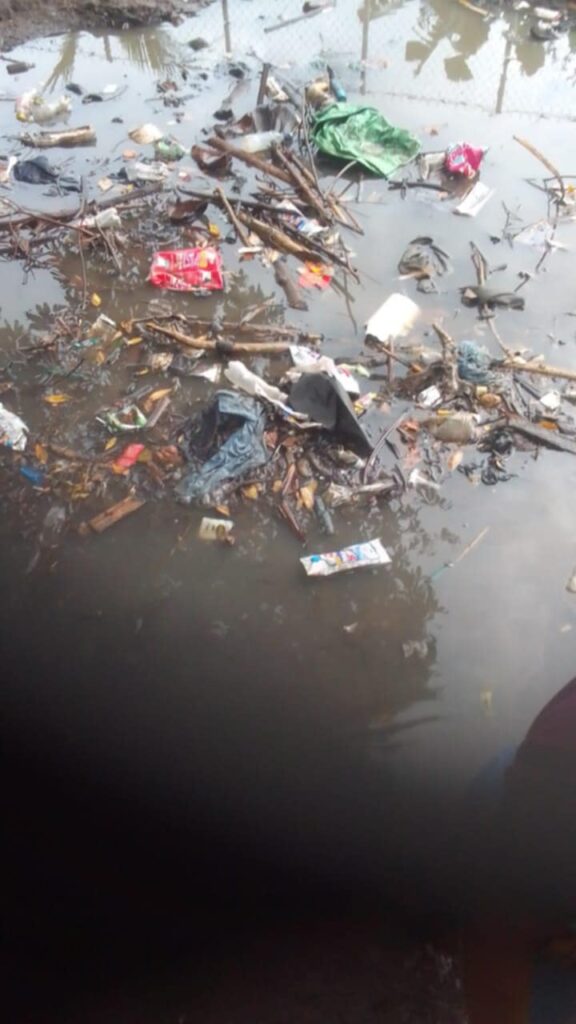 62a83d39 7555 474a bde8 5b7b9a0b6709