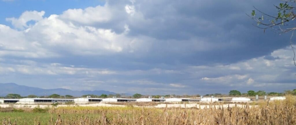 78cf583c d0f3 449d bfcf 052f7dbc59f1