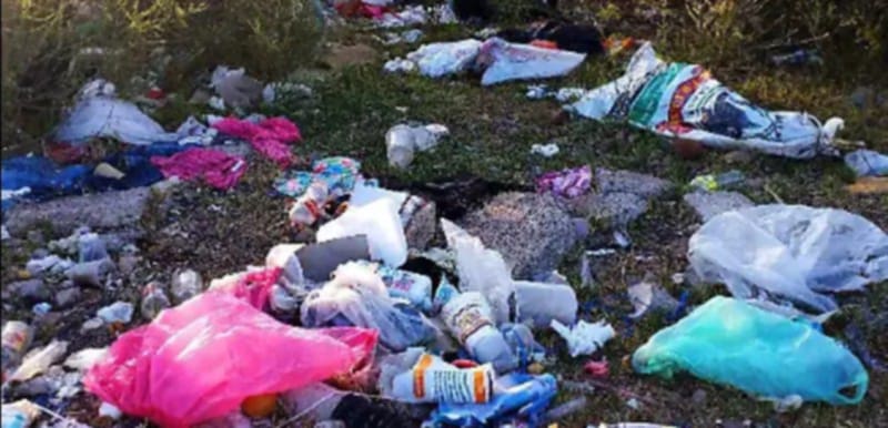 c4ba7175 fceb 4043 a727 375655b51939 1