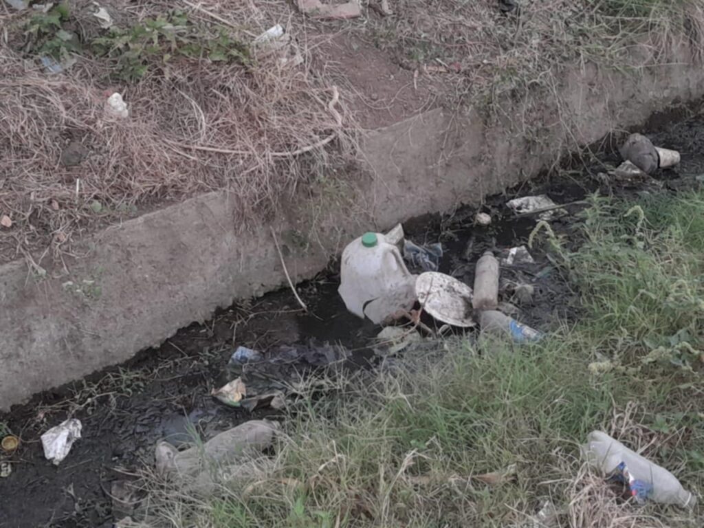 d8b33638 3361 4d11 9ee5 0d2bce4bab06