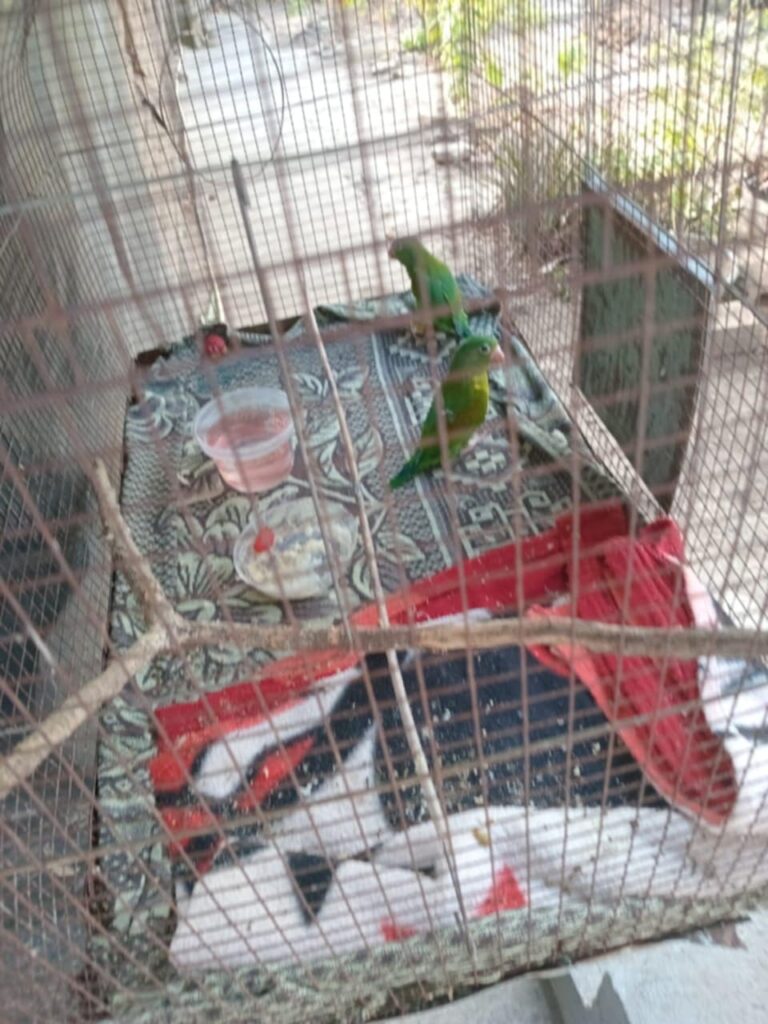 eb8298d1 7928 43ee 9854 69f8d74f245f