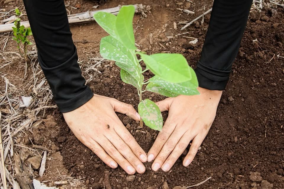 2eba0c9d f00f 4e7d 99ba 6309f0ca0b65