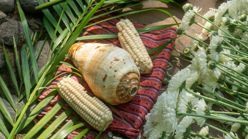 491249059 1326812258969398 7800020754215104417 n