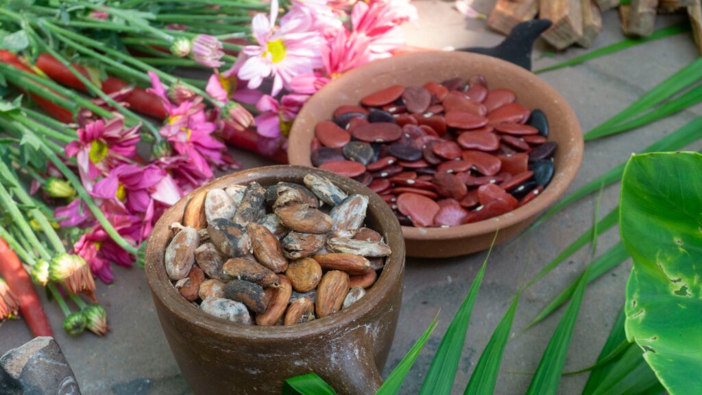 493012704 1326812255636065 3886729426636460994 n