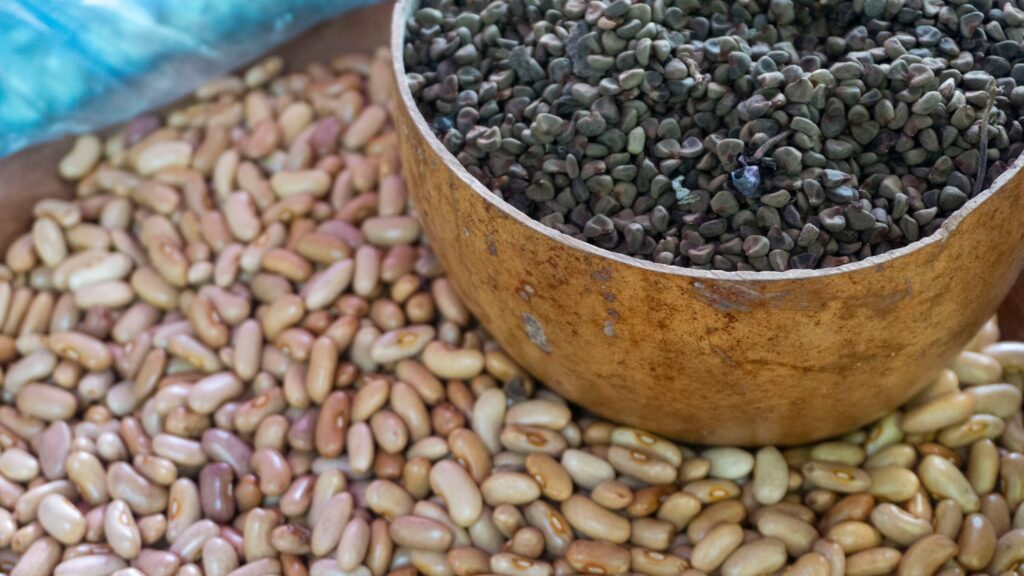 493813586 1326812712302686 213075565429230906 n 1