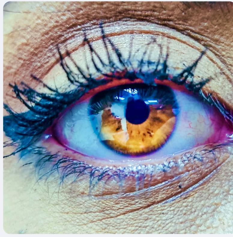 494043463 1079176647572724 1357704242370303033 n