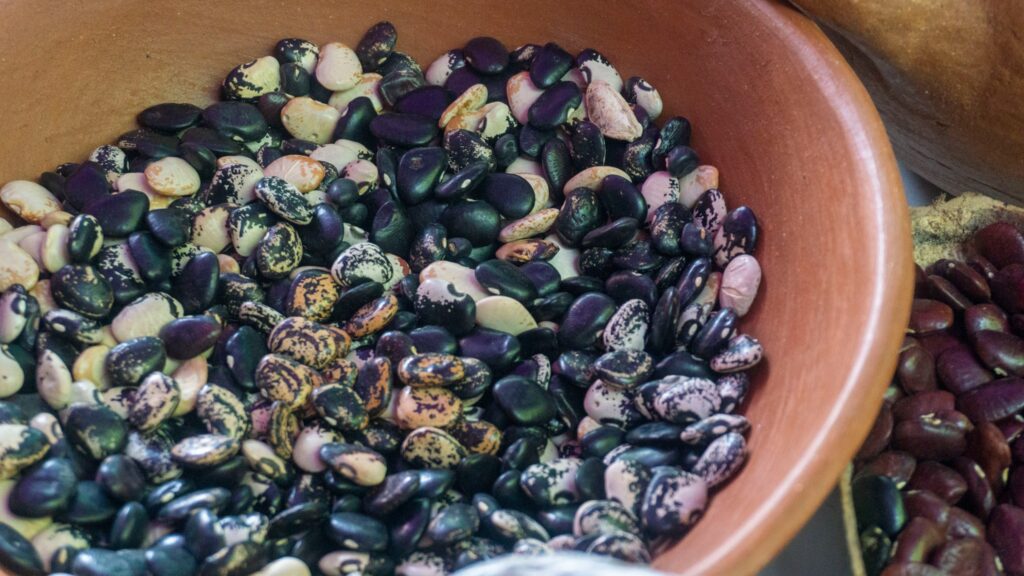 494648399 1326812738969350 3844735200527461600 n