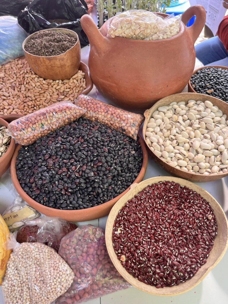 494752559 1326484439002180 1370310808719796321 n