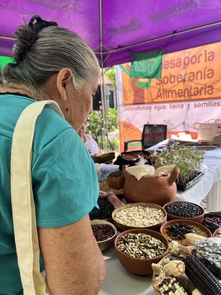 494915446 1326481225669168 5105105272211094555 n