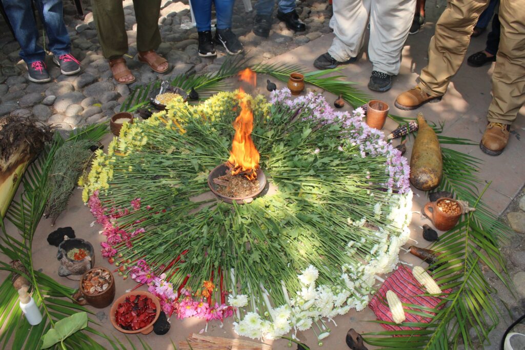 495058763 1110069214496093 4576053690410755963 n