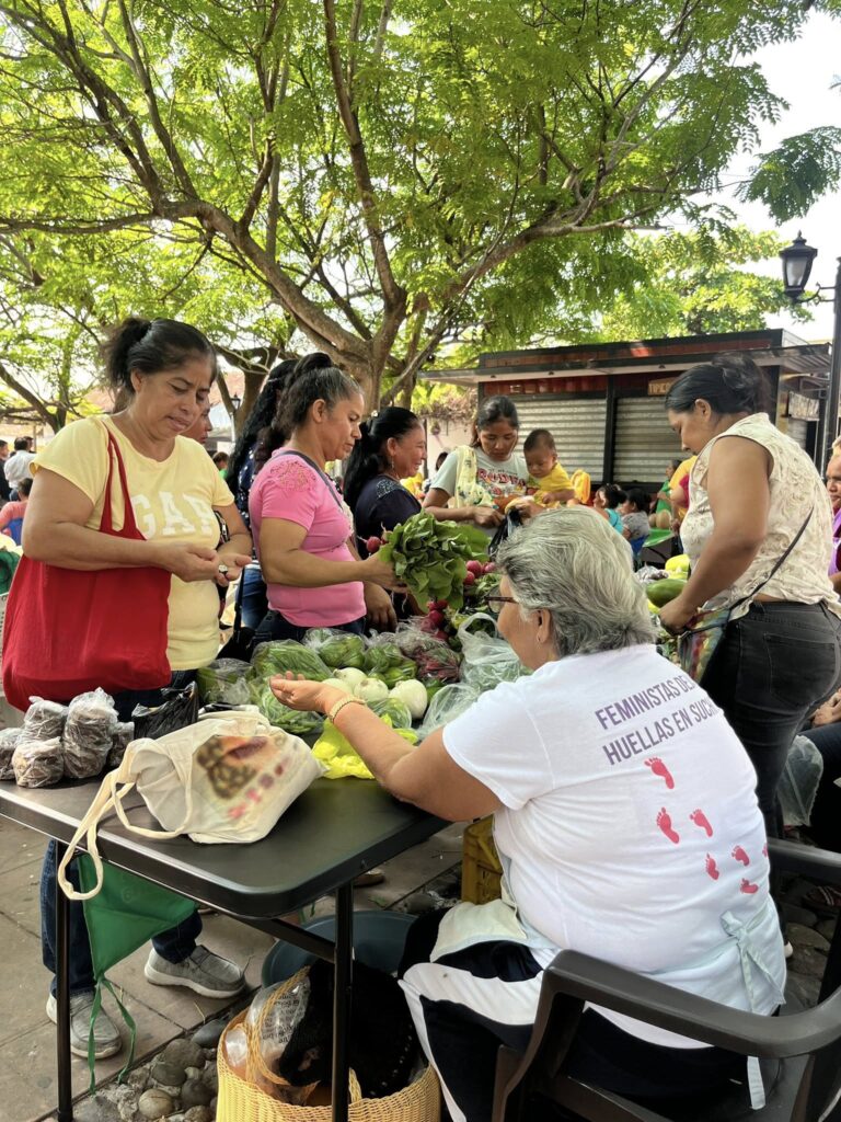 495229545 1326484345668856 1999349420012161579 n