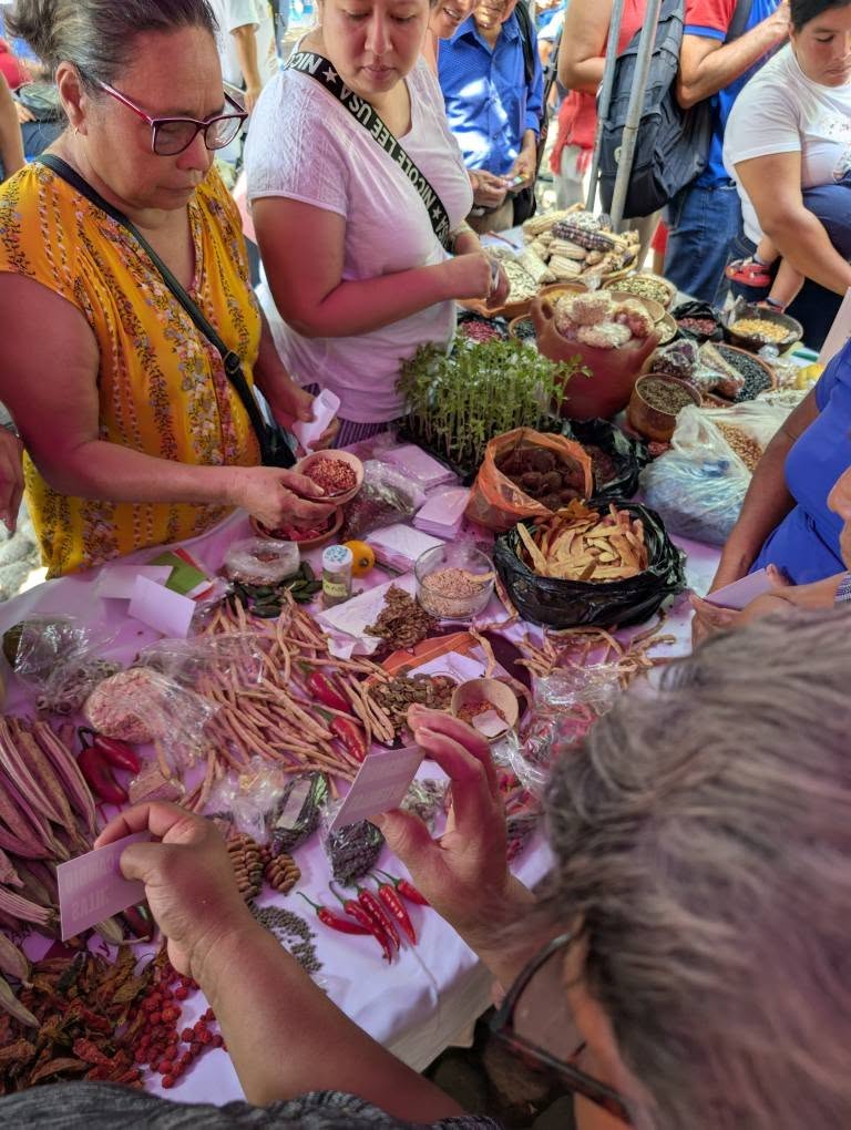 495367175 677555395021030 3864672208268208439 n