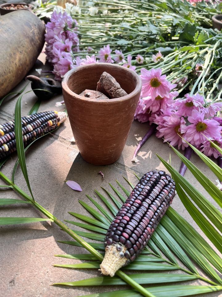 495528252 1326480849002539 3606177839300060655 n