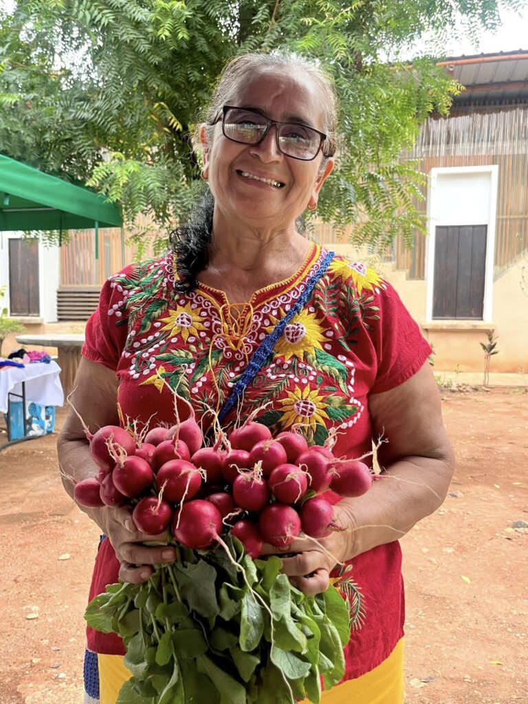 493900891 1319802636337027 2439500042309472871 n