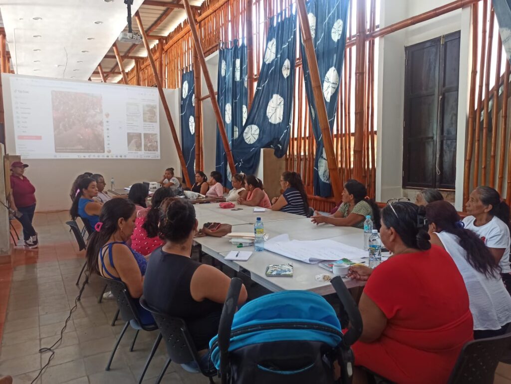 493927444 1012423197678816 389562998506362395 n