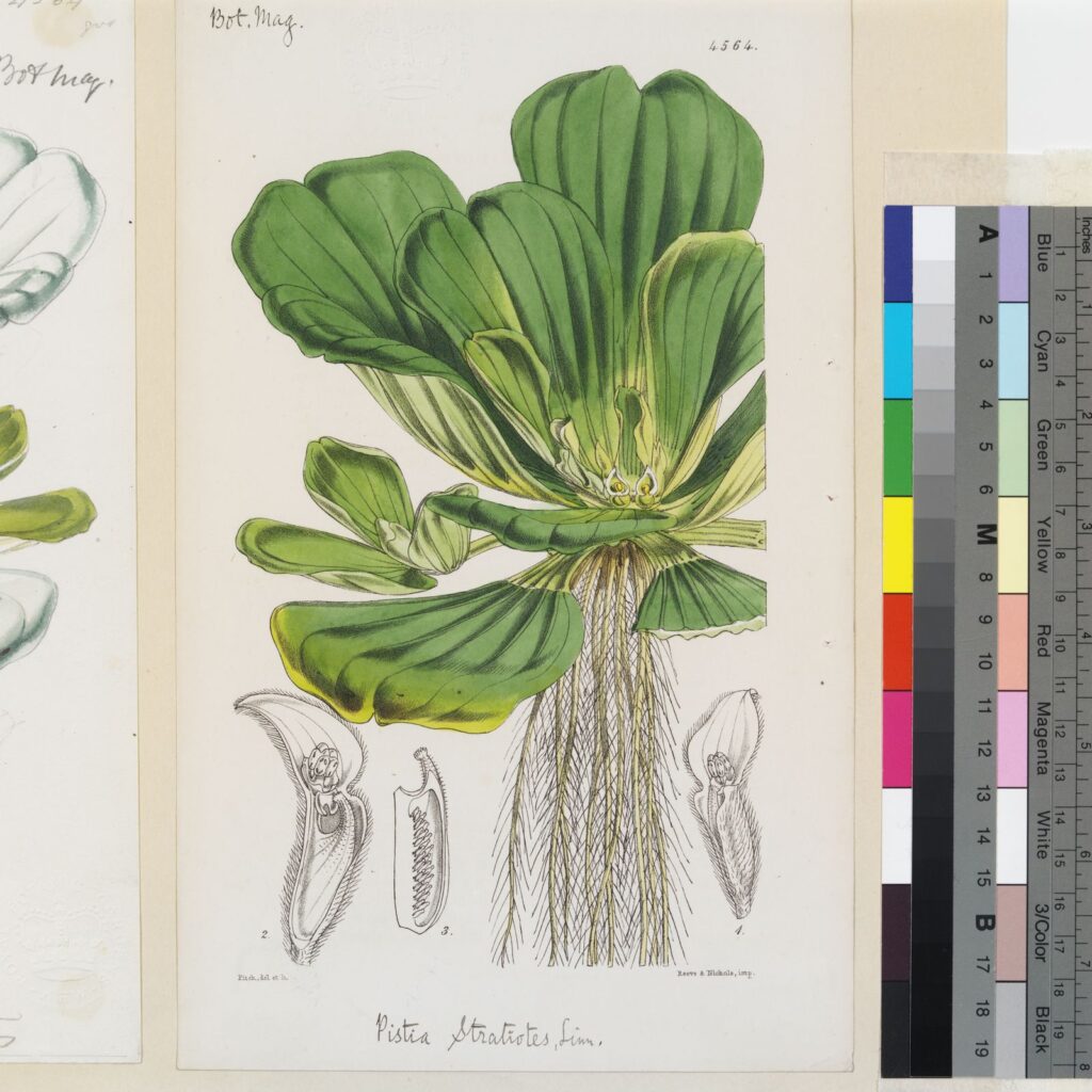 00aea703eba2400159d28d70a0357643