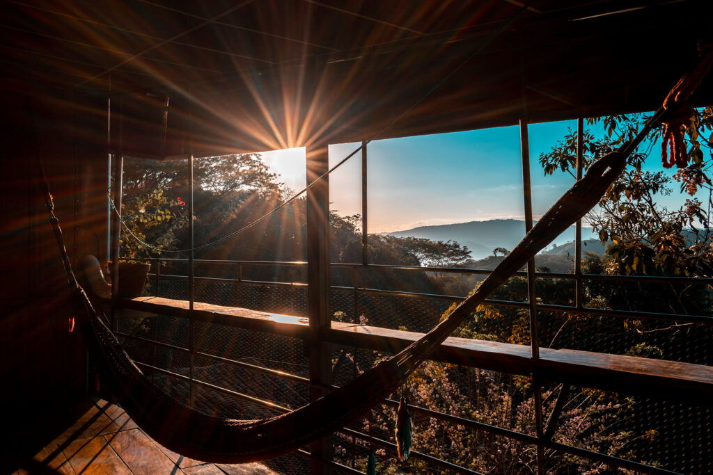 164052648 1360753480967340 3384746330143702262 n