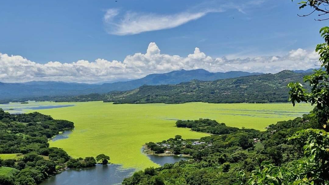 480558507 941856588072700 3702795518954649297 n edited