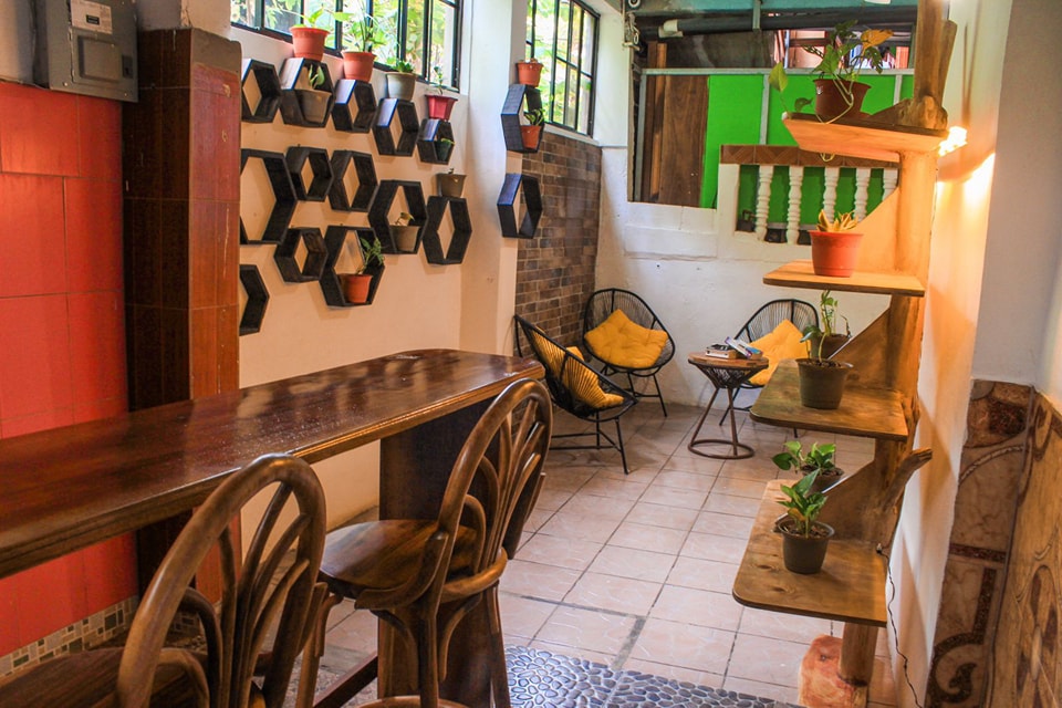 487995386 1420793129267734 1283332731739661561 n