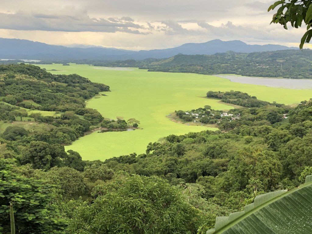 524578569 10163299207260498 4197035800059430553 n