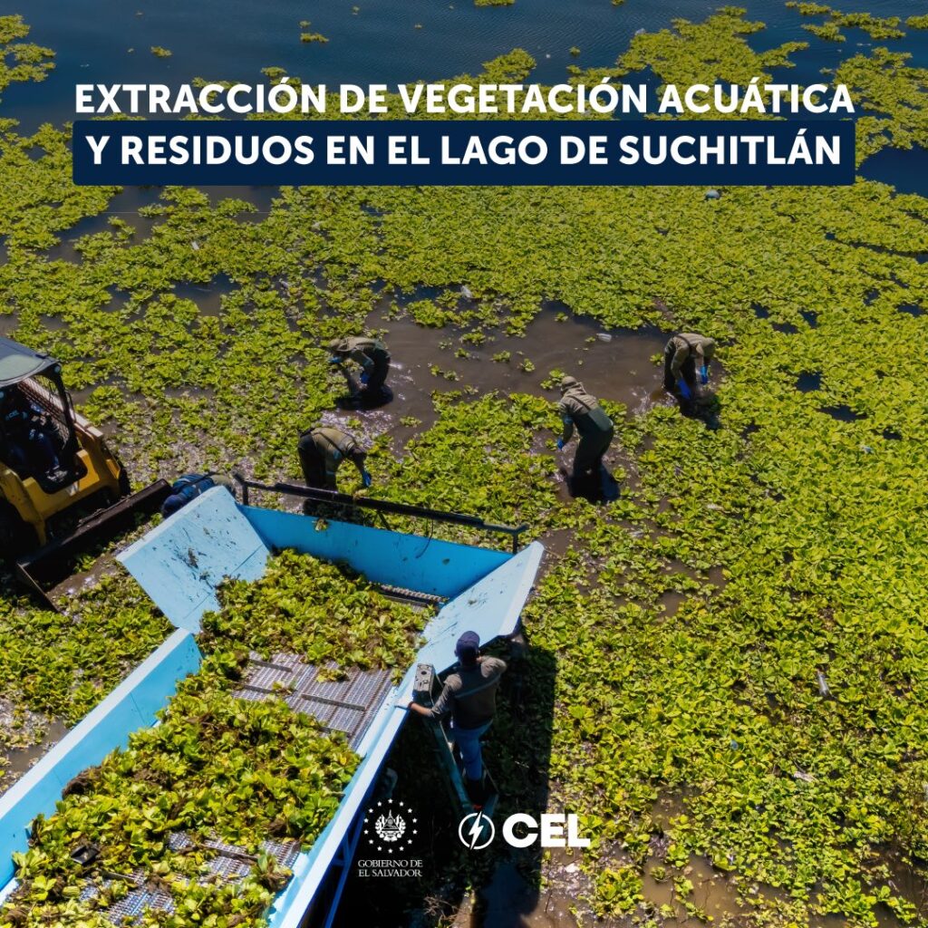 524645167 720201263978258 3258651487636945858 n