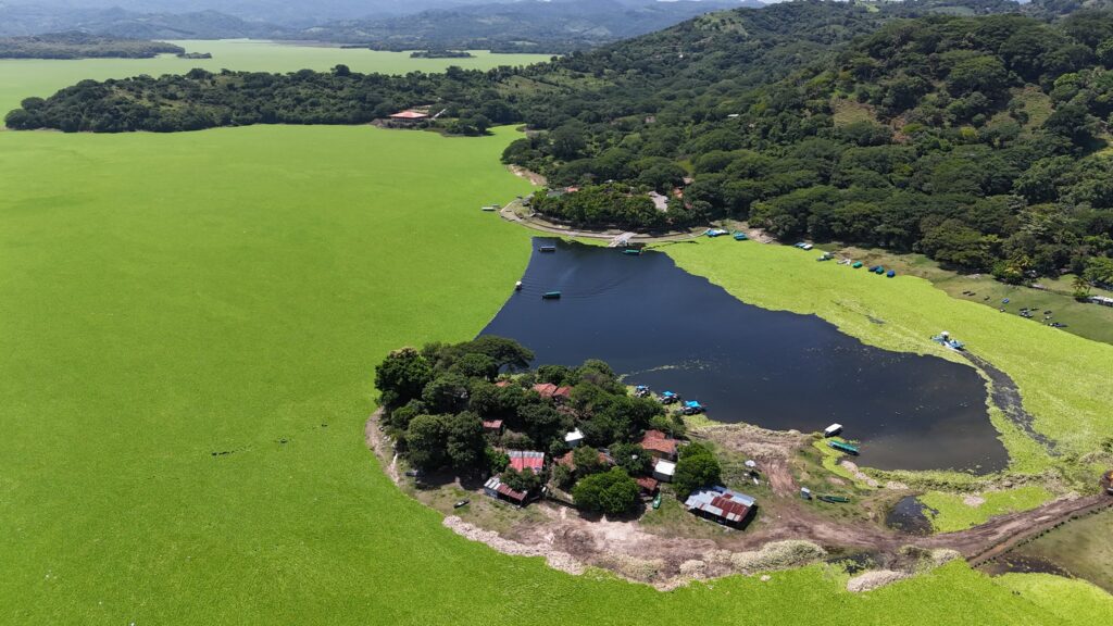 533709548 1251383056974925 4994435784406488791 n 1