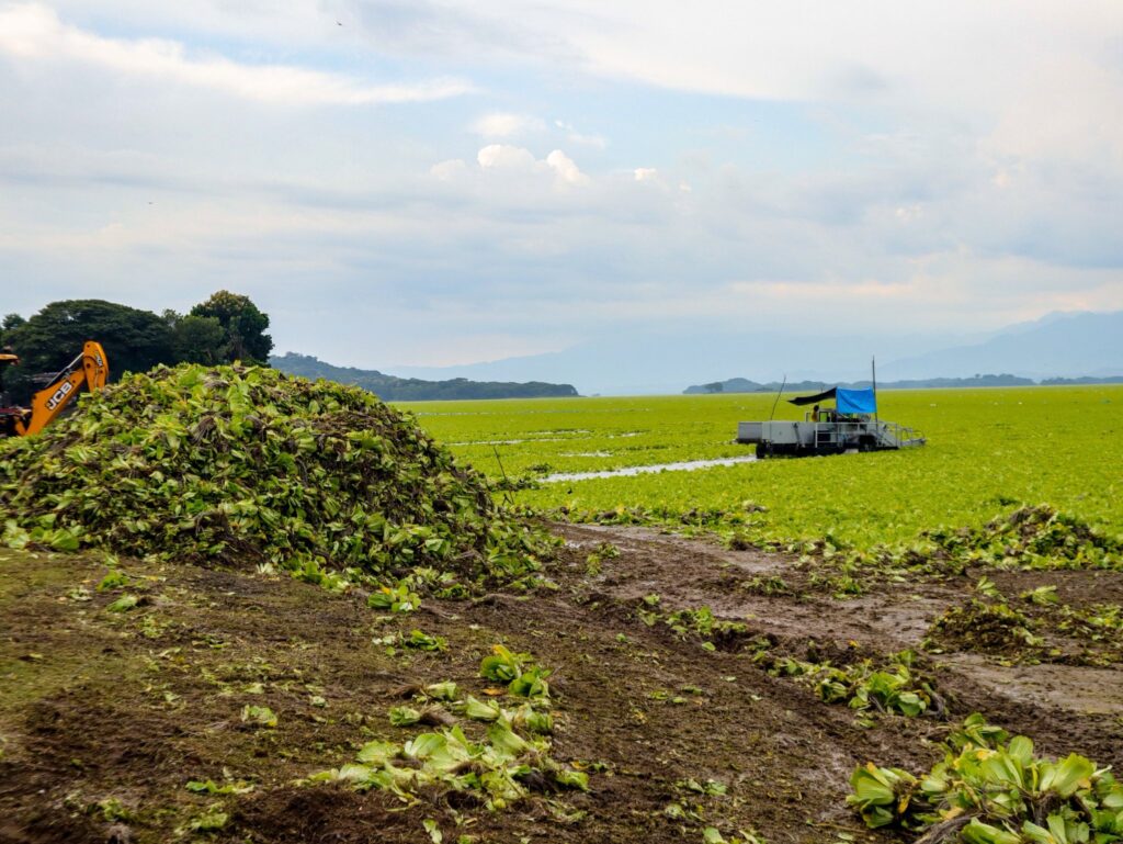 535032183 122203275854299294 7160418617338009543 n