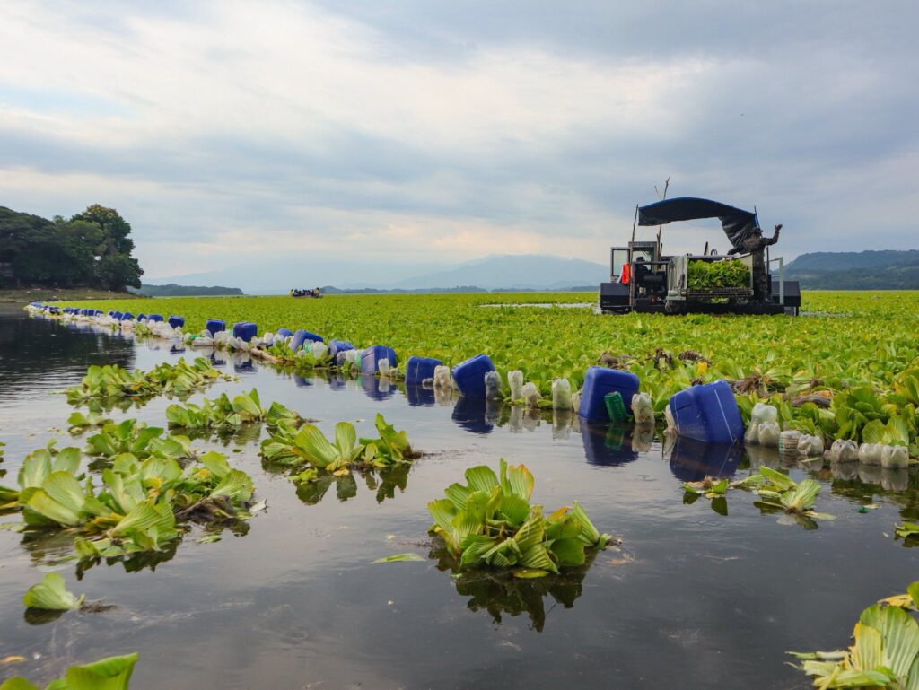 535402636 1310093277787788 4889466175446297750 n