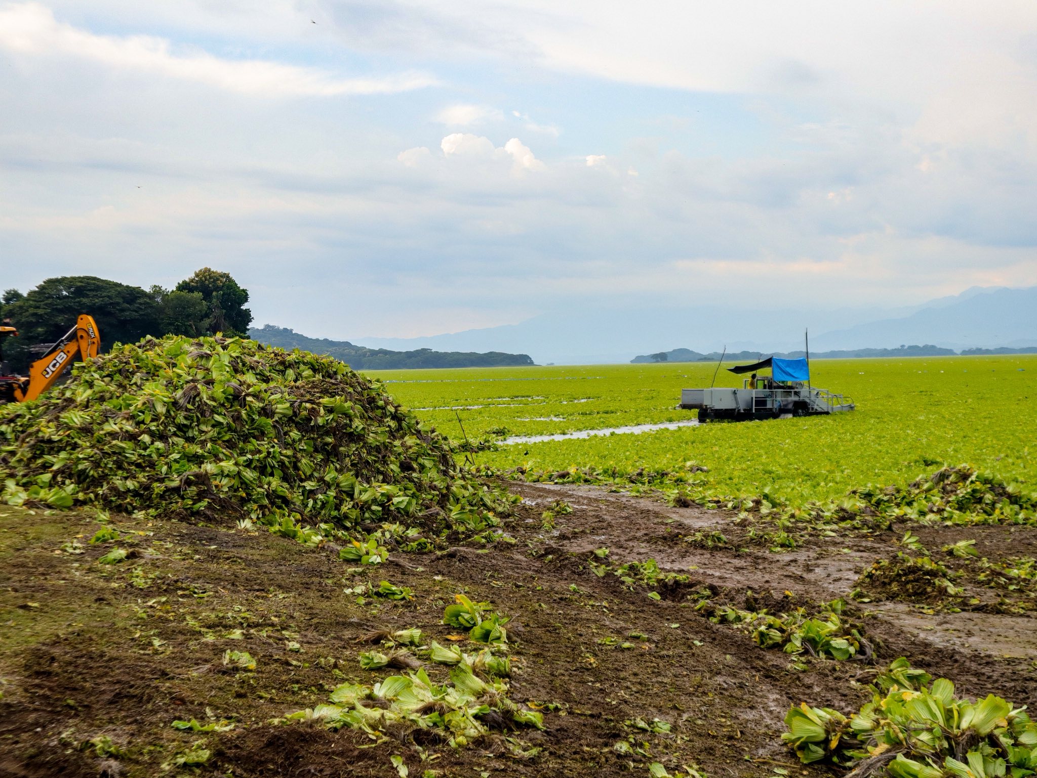 536198612 1310093157787800 1708048850305377278 n