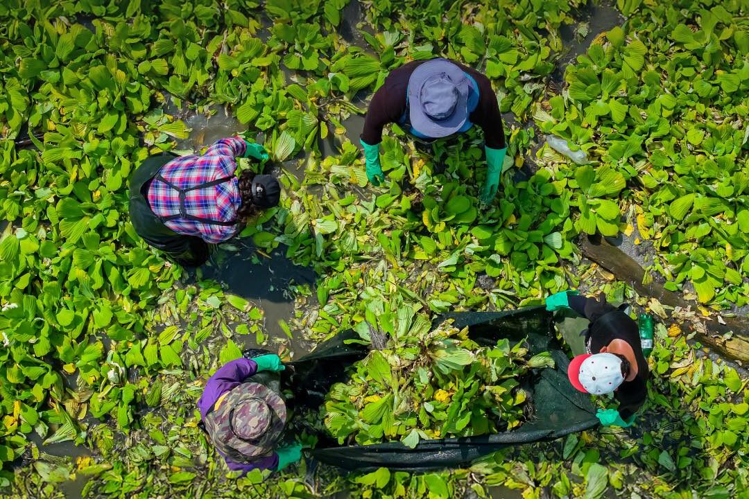 536271887 738217585509959 6121924262445853102 n edited