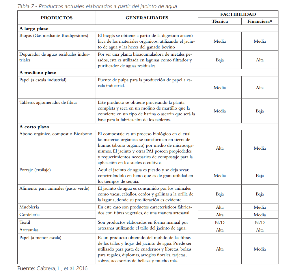 Captura de pantalla 2025 08 21 165902