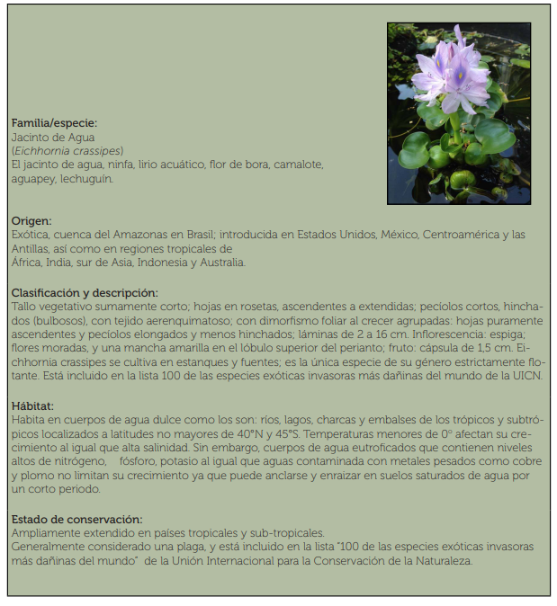 Captura de pantalla 2025 08 22 161730