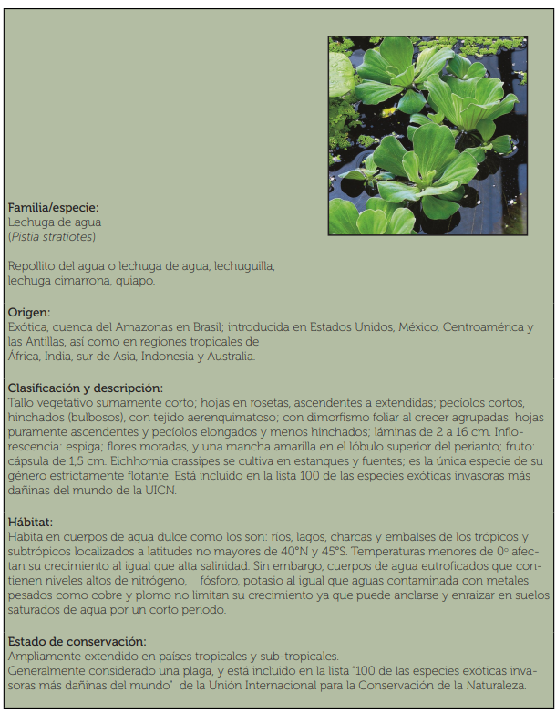 Captura de pantalla 2025 08 22 161745