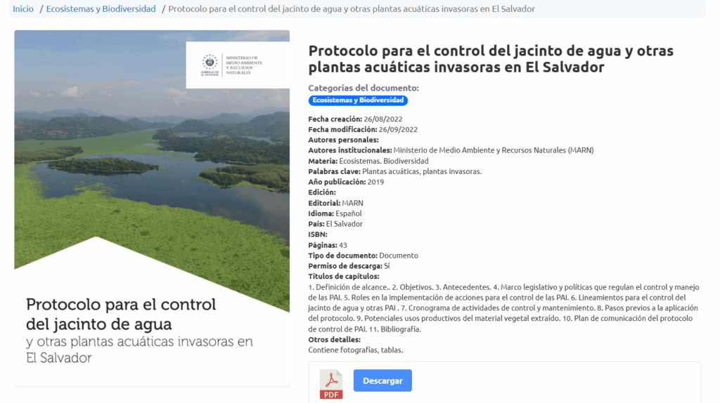 Captura de pantalla 2025 08 22 163349