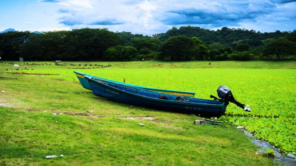 Video dia de la madre collage blanco 52 1