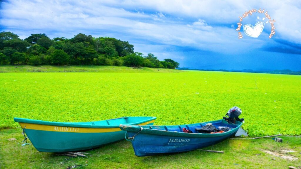 Video dia de la madre collage blanco 54