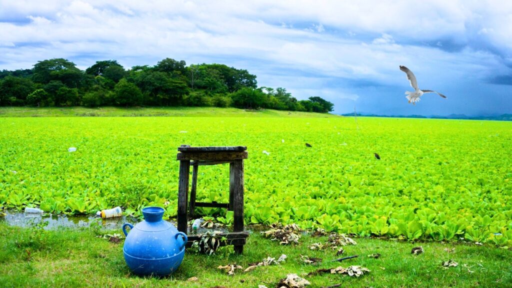 Video dia de la madre collage blanco 57