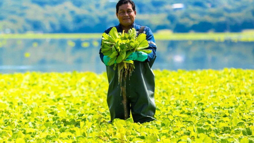 Video dia de la madre collage blanco 59