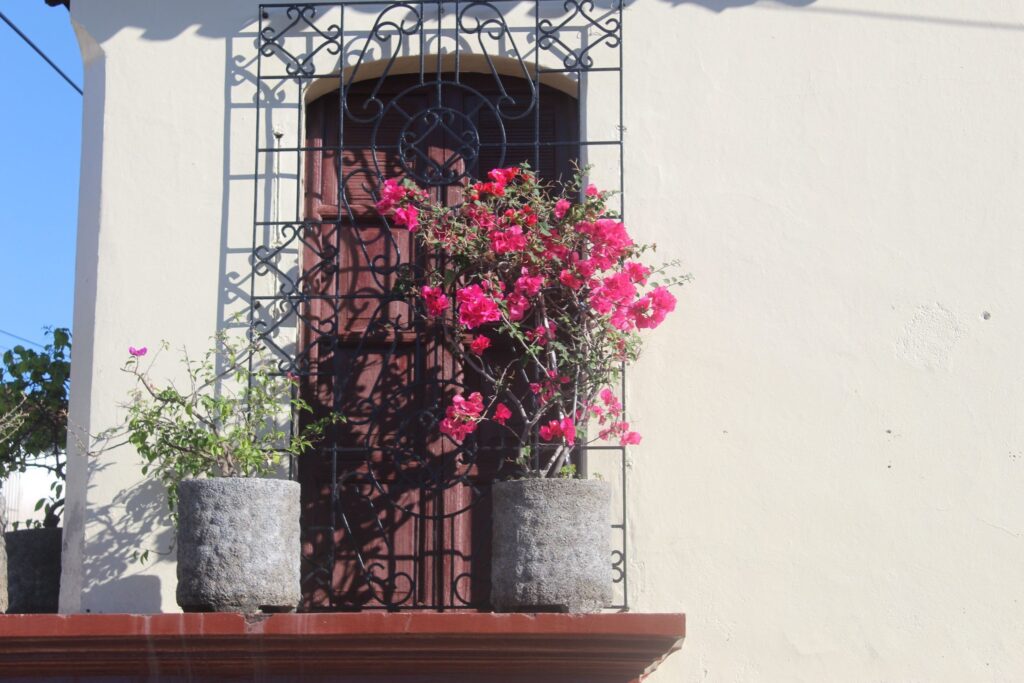 473079820 580866598147807 8136405102161551230 n