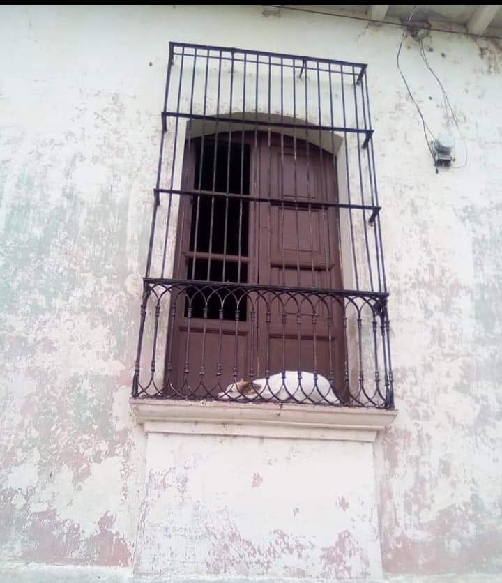 482253612 9260559290659501 581741524648564289 n