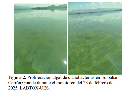 Captura de pantalla 2025 09 14 113851