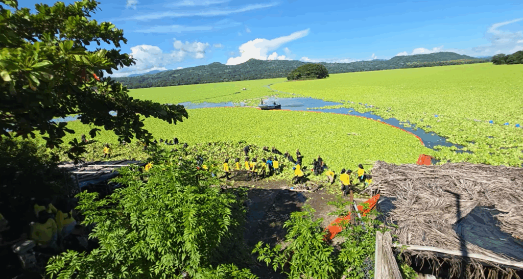 Captura de pantalla 2025 09 14 120554