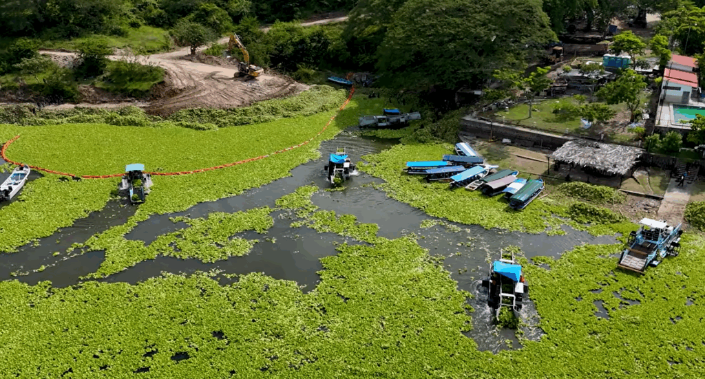 Captura de pantalla 2025 09 14 120835