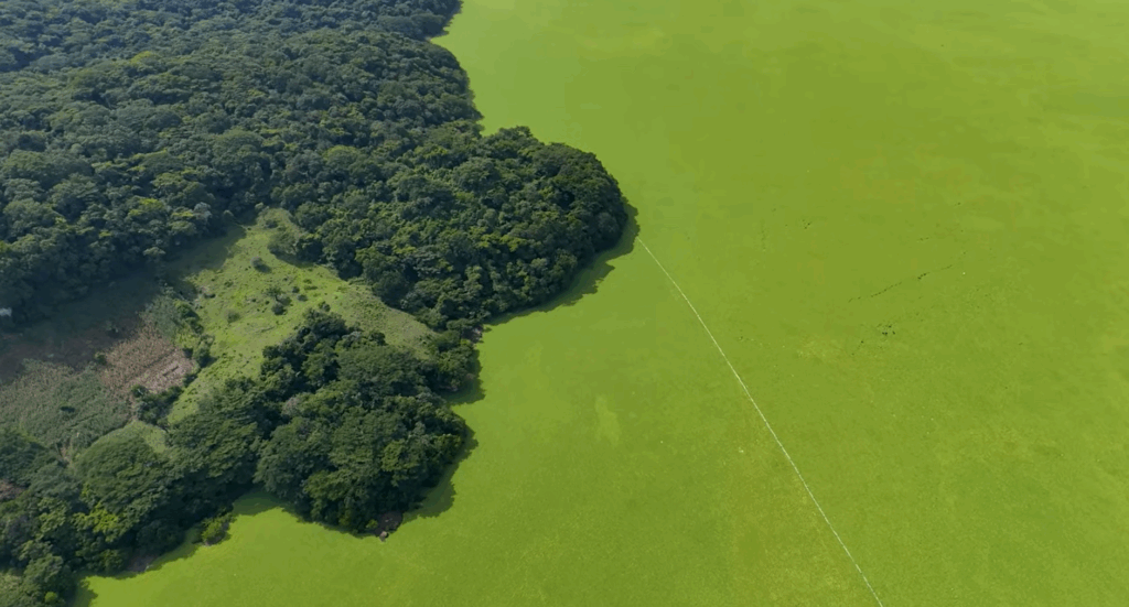 Captura de pantalla 2025 09 14 121138