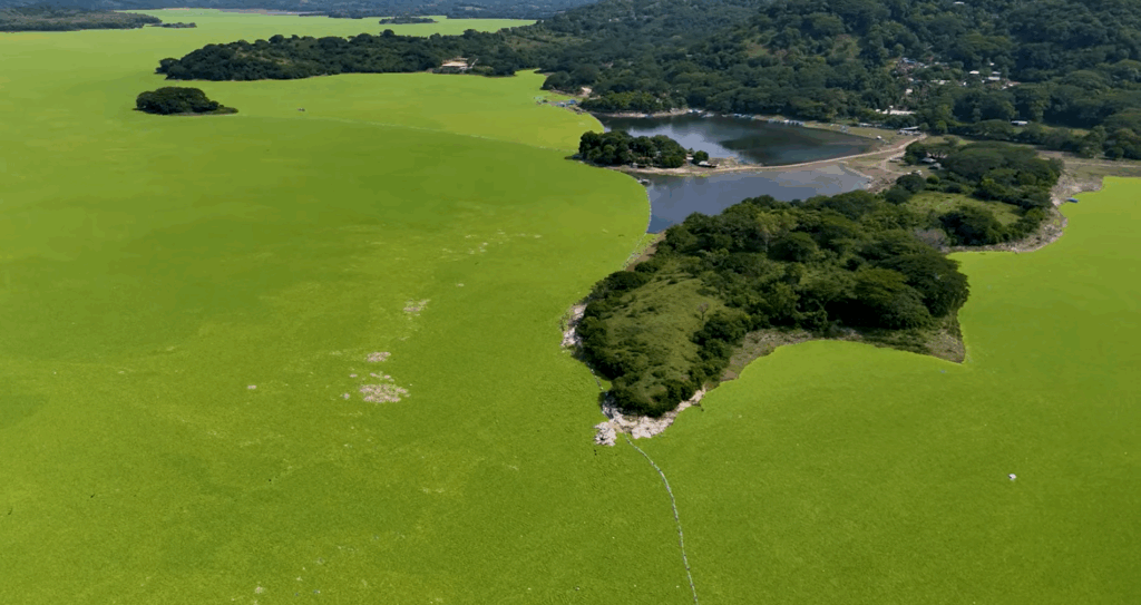 Captura de pantalla 2025 09 14 121308