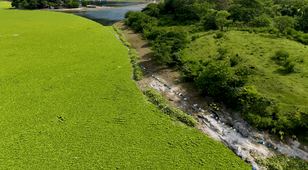 Captura de pantalla 2025 09 14 121329