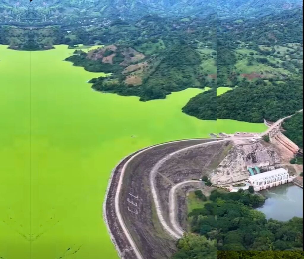 Video dia de la madre collage blanco 2025 09 30T080627.973 e1759244866749