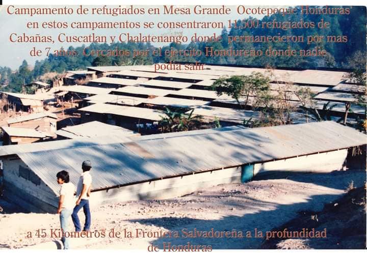 491662979 1238154978316028 5365181198377877825 n