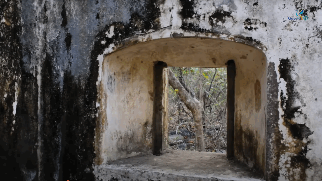 Captura de pantalla 2025 10 19 204516