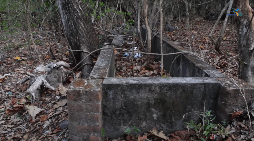 Captura de pantalla 2025 10 19 204932